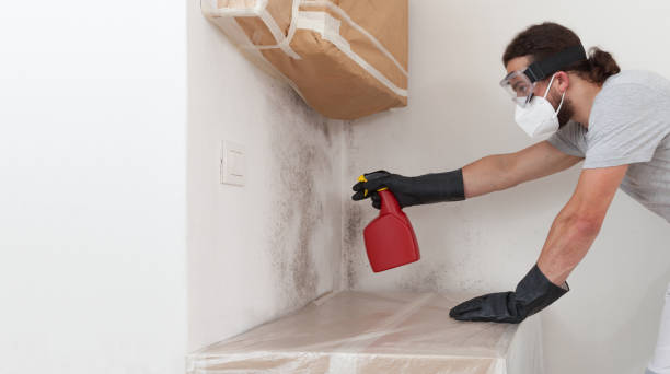Professional Mold Removal technician working in Mineola, NY